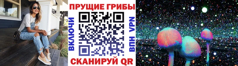 Купить закладки  Разумное  Галлюциногенные грибы Psilocybine cubensis 